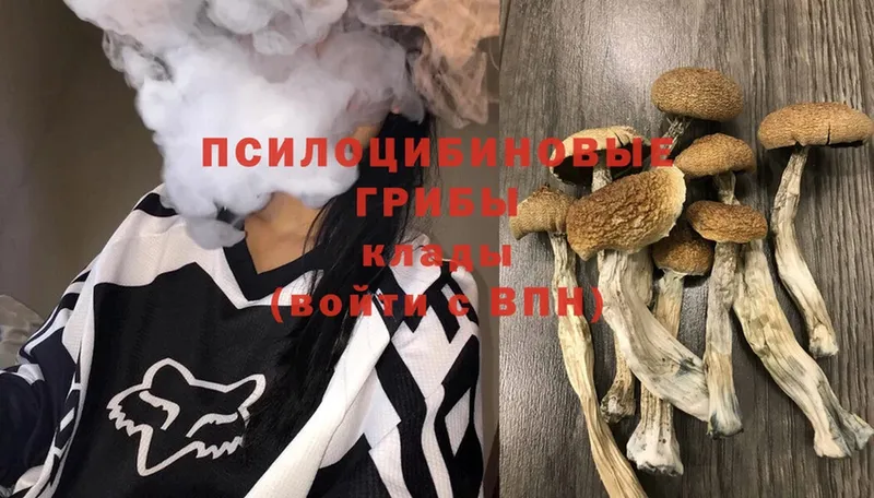 Галлюциногенные грибы Magic Shrooms  купить наркотики цена  Аркадак 