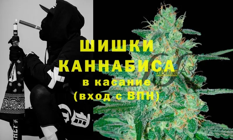 как найти   Аркадак  Марихуана White Widow 